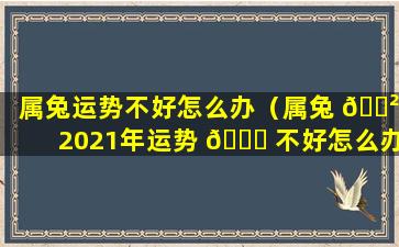 属兔运势不好怎么办（属兔 🌲 2021年运势 💐 不好怎么办）